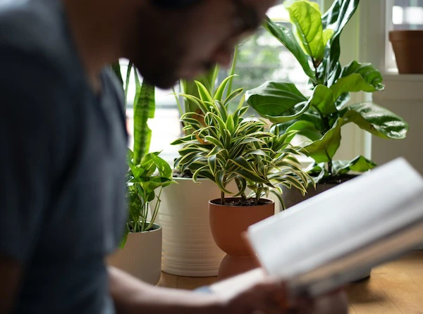 The Art of Studying: Tips and Strategies for Effective Learning
